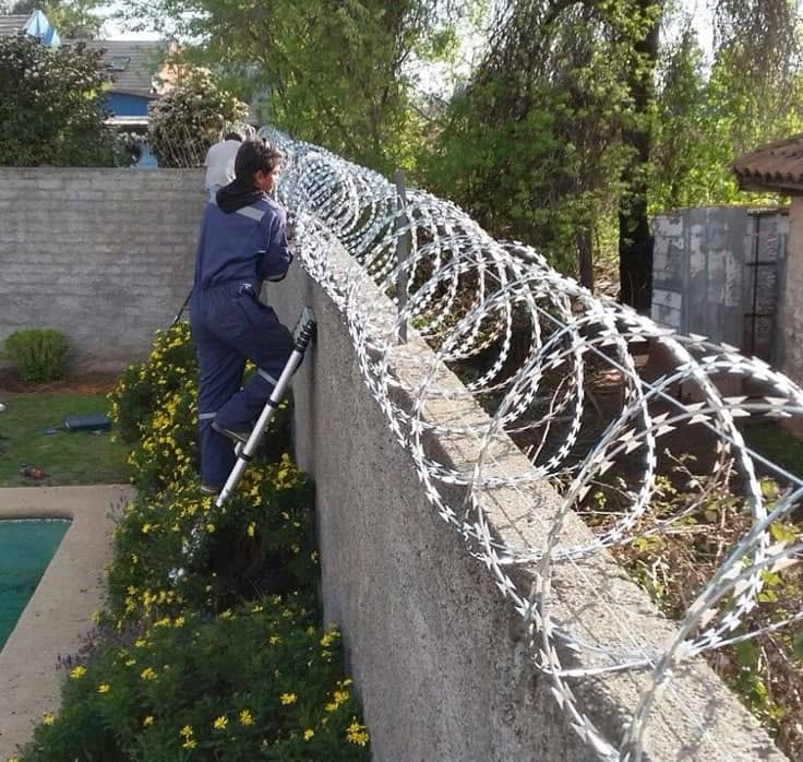 whatsapp image 2025 10 05 at 10.38.28 pm (1)