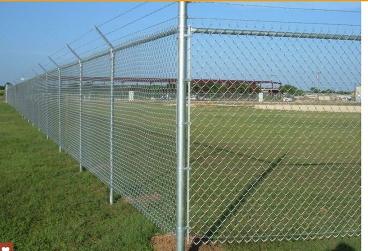 whatsapp image 2025 10 05 at 10.38.36 pm