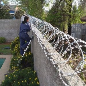 Home whatsapp image 2025 10 05 at 10.38.28 pm (1)