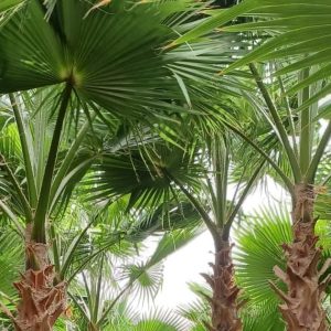 Home whatsapp image 2025 10 05 at 11.03.29 pm